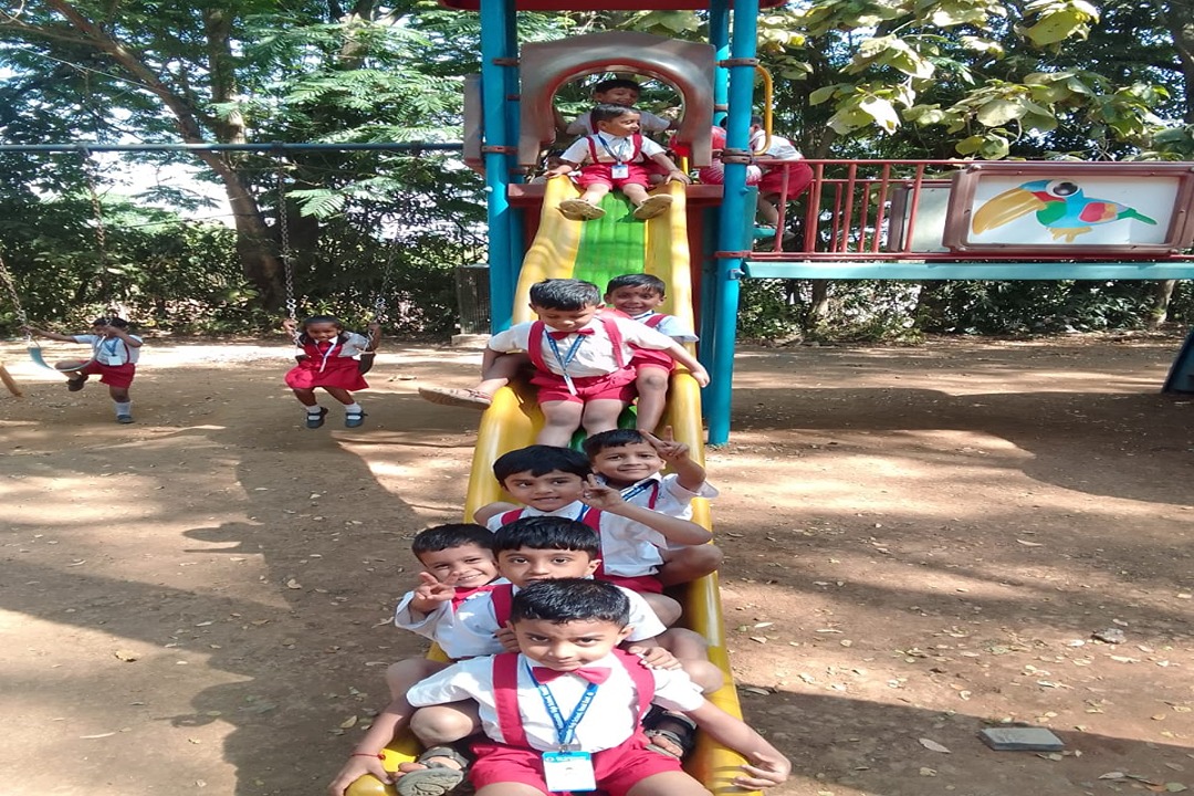 Photo Gallery