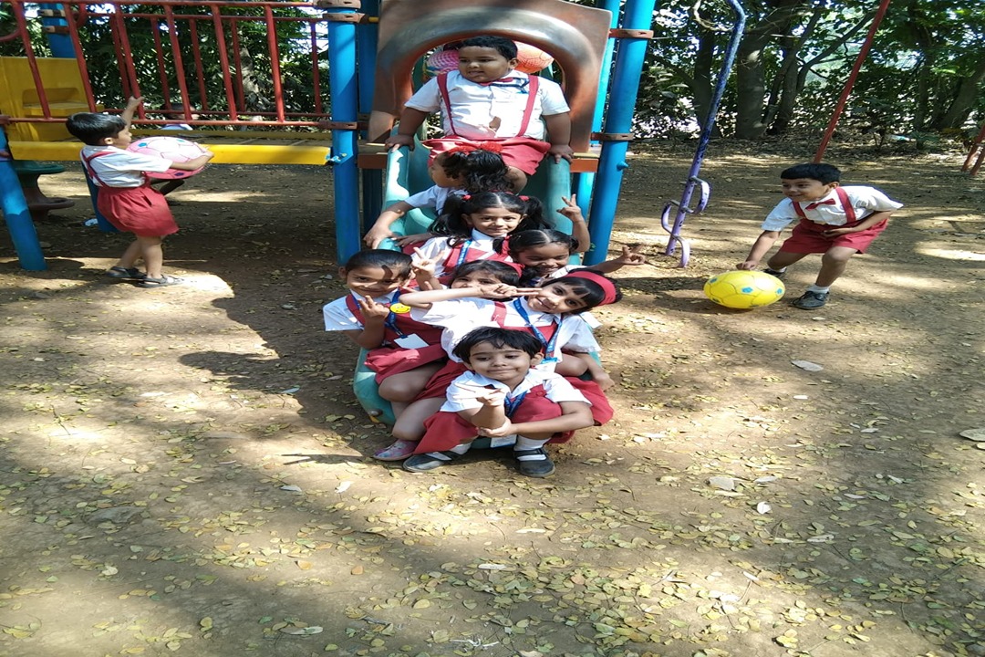 Photo Gallery